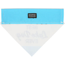 Load image into Gallery viewer, Lake Dog Bandana S/M