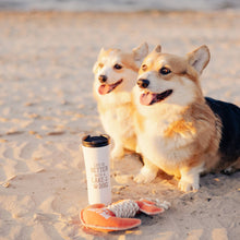 Load image into Gallery viewer, Lake Dog - 17 oz Stainless Steel Travel Tumbler
